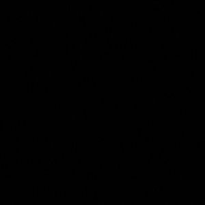 Meet your Posher, Meira